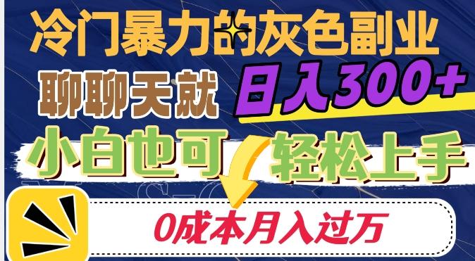 冷门暴利的副业项目，聊聊天就能日入300+，0成本月入过万【揭秘】 - 识享社-识享社