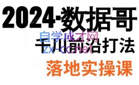 数据哥·2024年千川前沿打法落地实操课-识享社