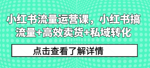 小红书流量运营课，小红书搞流量+高效卖货+私域转化 - 识享社-识享社