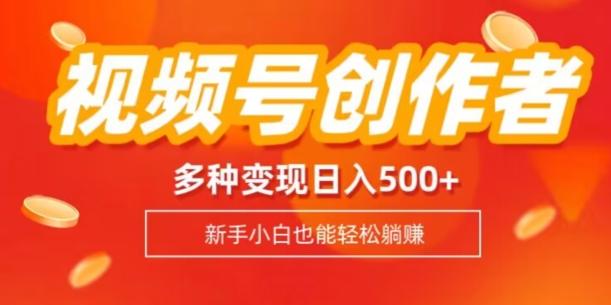 视频号创作者计划，多种变现方式，日入500+【内附1080g视频素材】-识享社