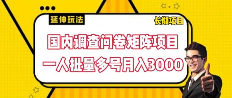 国内调查问卷矩阵项目，一人批量多号月入3000【揭秘】 - 识享社-识享社