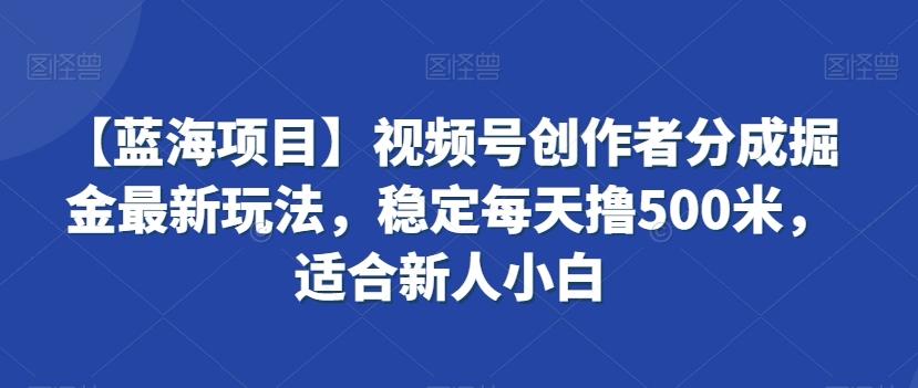 【蓝海项目】视频号创作者分成掘金最新玩法，稳定每天撸500米，适合新人小白【揭秘】 - 识享社-识享社