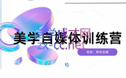 安娜·美学自媒体IP系统课-识享社