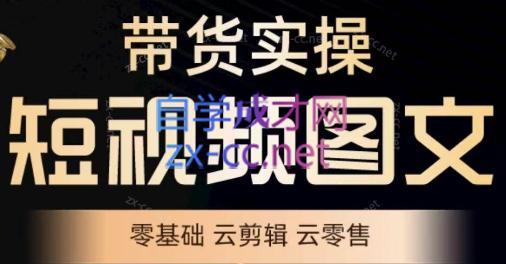 鑫哥·2024零基础短视频带货实操营-识享社