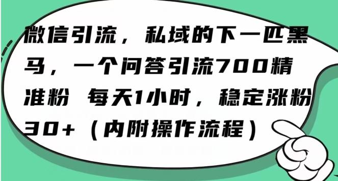 怎么搞精准创业粉？微信新赛道，每天一小时，利用Ai一个问答日引100精准粉-识享社
