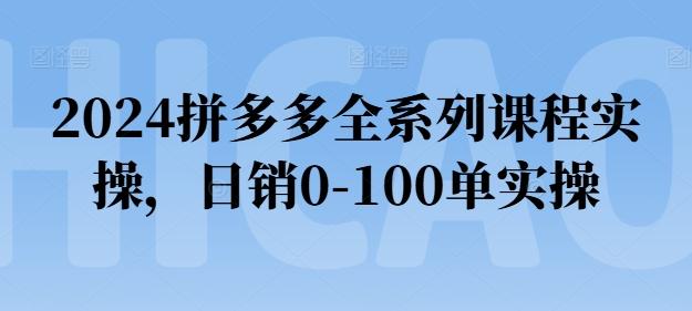 2024拼多多全系列课程实操，日销0-100单实操【必看】 - 识享社-识享社
