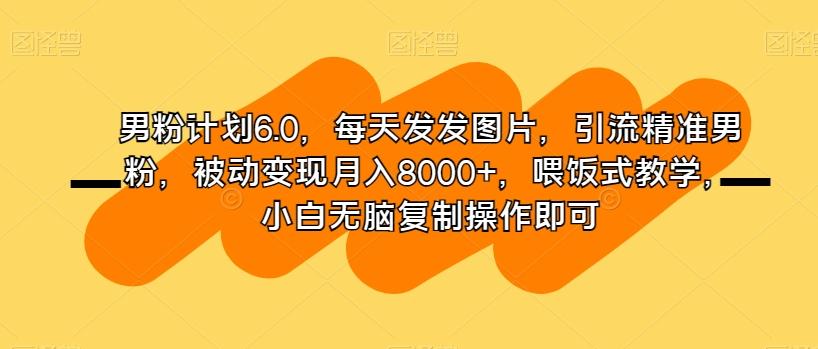 男粉计划6.0,每天发发图片,引流精准男粉,被动变现月入8000+,喂饭式教学,小白无脑复制操作即可-识享社
