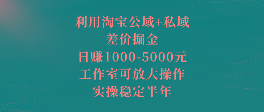 利用淘宝公域+私域差价掘金，日赚1000-5000元，工作室可放大操作，实操… - 识享社-识享社