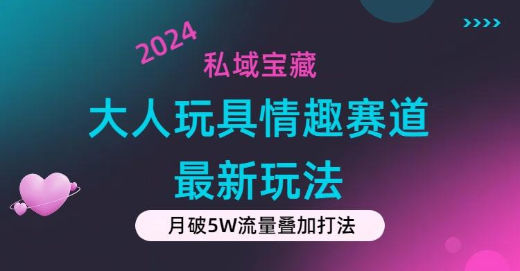 私域宝藏：大人玩具情趣赛道合规新玩法，零投入，私域超高流量成单率高 - 识享社-识享社