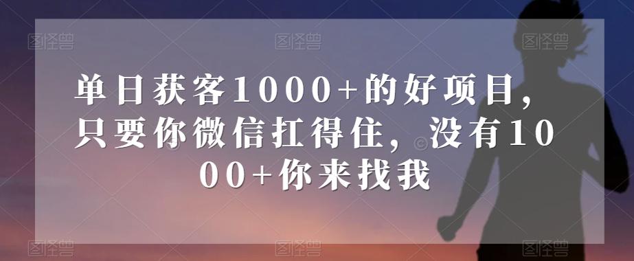 单日获客1000+的好项目，只要你微信扛得住，没有1000+你来找我【揭秘】 - 识享社-识享社