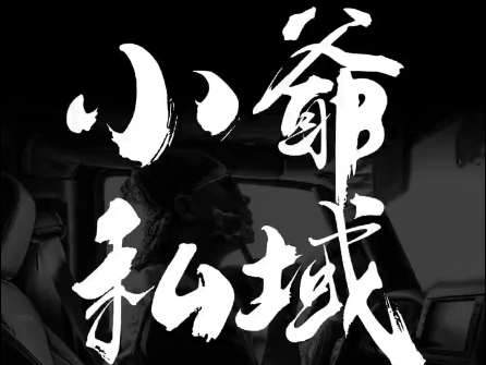 小爷·私域项目操盘手 - 识享社-识享社