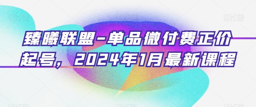 臻曦联盟-单品微付费正价起号，2024年1月最新课程 - 识享社-识享社