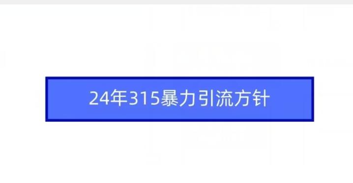 24年315暴力引流方针 - 识享社-识享社