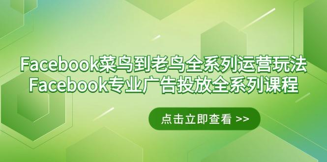 Facebook-菜鸟到老鸟全系列运营玩法+Facebook-专业广告投放全系列课程 - 识享社-识享社