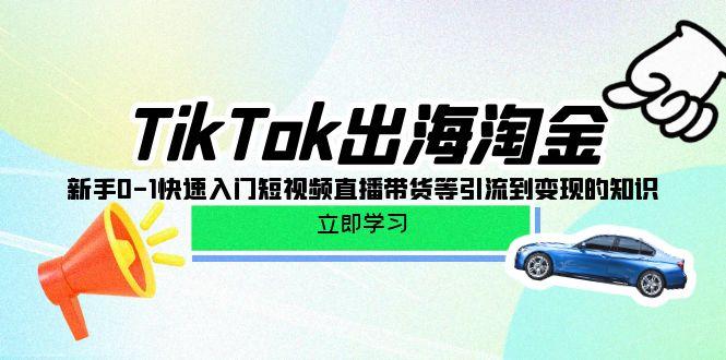 (10035期)TikTok-出海淘金，新手0-1快速入门短视频直播带货等引流到变现的知识 - 识享社-识享社