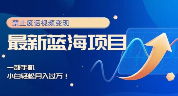 最新蓝海项目，靠禁止废话视频变现，一部手机，小白轻松月入过万！ - 识享社-识享社