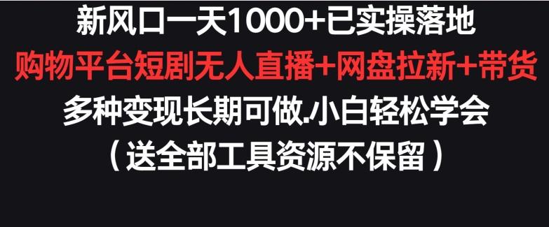 新风口一天1000+已实操落地购物平台短剧无人直播+网盘拉新+带货多种变现长期可做【揭秘】 - 识享社-识享社