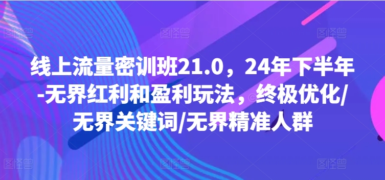 线上流量密训班21.0，24年下半年-无界红利和盈利玩法，终极优化/无界关键词/无界精准人群 - 识享社-识享社