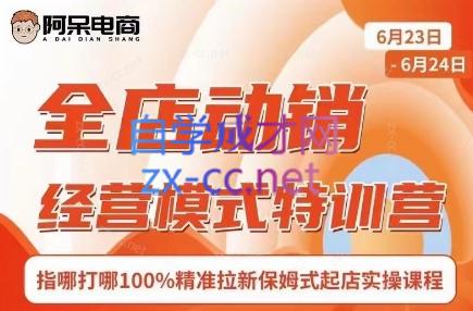 阿呆电商·全店动销经营模式特训营(线下录音+思维导图)-识享社