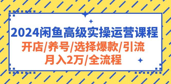 2024闲鱼高级实操运营课程：开店/养号/选择爆款/引流/月入2万/全流程 - 识享社-识享社