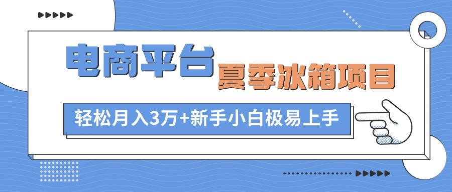 电商平台夏季冰箱项目，轻松月入3万+，新手小白极易上手 - 识享社-识享社