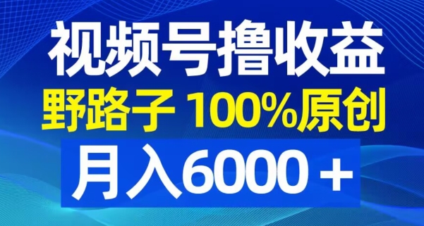 视频号野路子撸收益，100%原创，条条爆款，月入6000＋【揭秘】 - 识享社-识享社