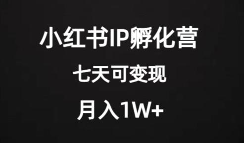 价值2000+的小红书IP孵化营项目，超级大蓝海，七天即可开始变现，稳定月入1W+ - 识享社-识享社