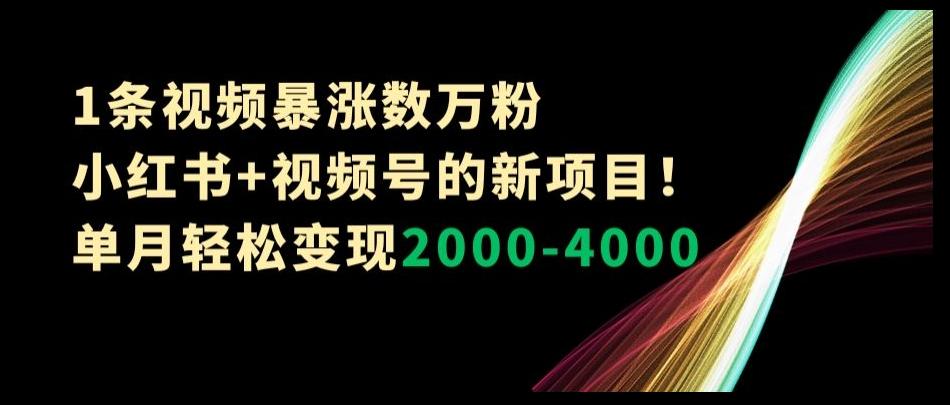 1条视频暴涨数万粉–小红书+视频号的新项目！单月轻松变现2000-4000【揭秘】 - 识享社-识享社