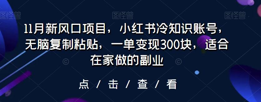 11月新风口项目，小红书冷知识账号，无脑复制粘贴，一单变现300块，适合在家做的副业 - 识享社-识享社