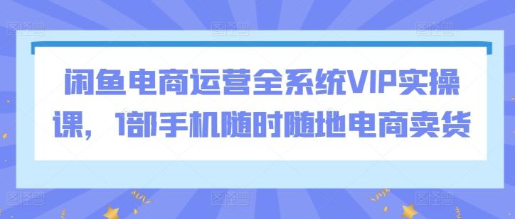 闲鱼电商运营全系统VIP实操课，1部手机随时随地电商卖货 - 识享社-识享社