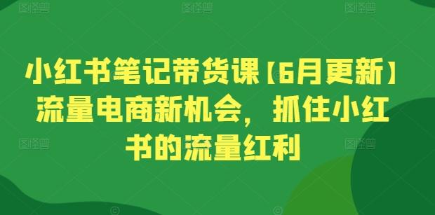 小红书笔记带货课【6月更新】流量电商新机会，抓住小红书的流量红利 - 识享社-识享社