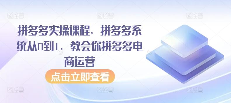 拼多多实操课程，拼多多系统从0到1，教会你拼多多电商运营 - 识享社-识享社