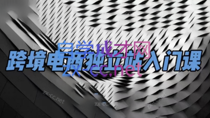 团长·跨境电商独立站入门课(2小时精华) - 识享社-识享社