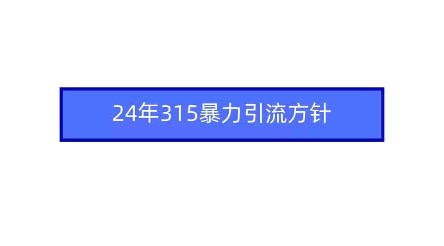 (9398期)2024年315暴力引流方针 - 识享社-识享社