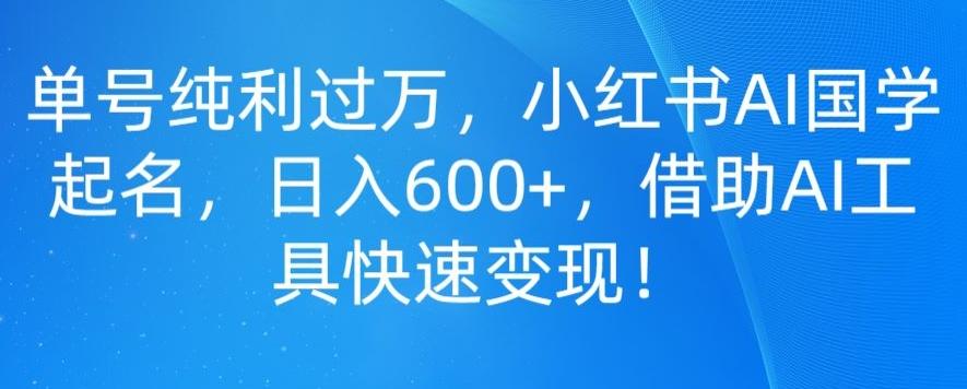 单号纯利过万，小红书AI国学起名，日入600+，借助AI工具快速变现 - 识享社-识享社