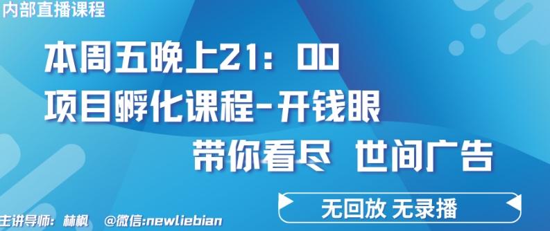 4.26日内部回放课程《项目孵化-开钱眼》赚钱的底层逻辑【揭秘】 - 识享社-识享社