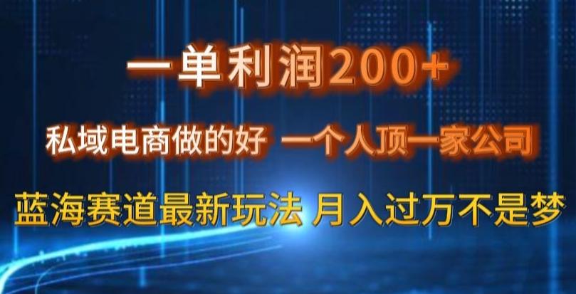一单利润200私域电商做的好，一个人顶一家公司蓝海赛道最新玩法【揭秘】 - 识享社-识享社