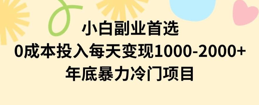 小白副业首选，0成本投入，每天变现1000-2000年底暴力冷门项目【揭秘】 - 识享社-识享社