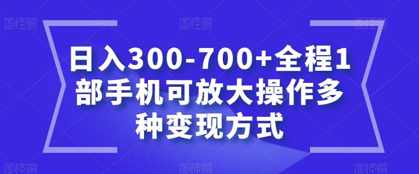 日入300-700+全程1部手机可放大操作多种变现方式【揭秘】 - 识享社-识享社