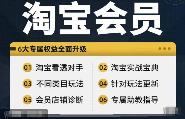 淘宝会员【淘宝所有课程，全面分析对手】，初级到高手全系实战宝典 - 识享社-识享社