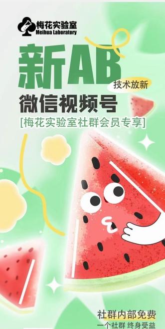 梅花实验室2024年AB技术视频号AB合成破解版 - 识享社-识享社