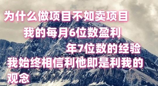 做项目不如卖项目，每月6位数盈利，年7位数经验 - 识享社-识享社