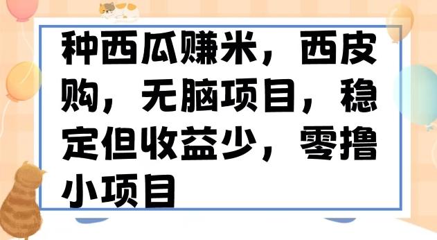 种西瓜赚米，西皮购稳定长久零撸小项目 - 识享社-识享社
