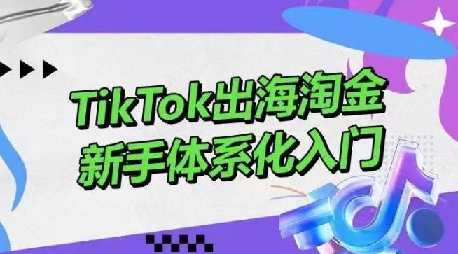 TikTok出海淘金，新手体系化入门，零基础快速入门，掌握短视频、直播带货等引流到变现的知识 - 识享社-识享社