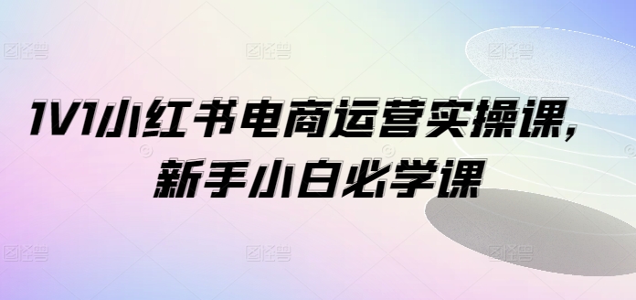 1V1小红书电商运营实操课，新手小白必学课 - 识享社-识享社