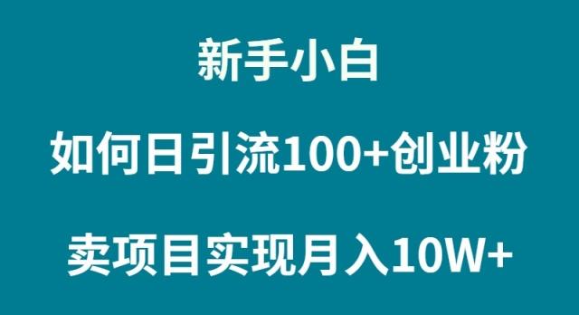 (9556期)新手小白如何通过卖项目实现月入10W+ - 识享社-识享社