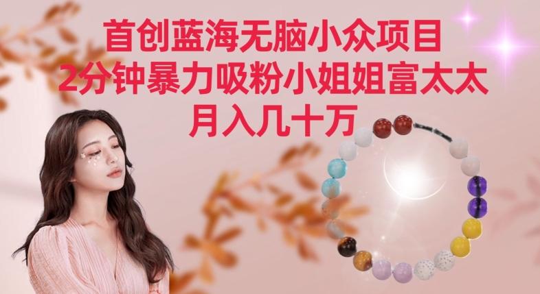 首创蓝海无脑小众项目，2分钟暴力吸粉小姐姐富太太，月入几十万【揭秘】 - 识享社-识享社