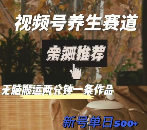 视频号养生赛道暴力掘金，无脑搬运，两分钟一条作品-新日单入500+ - 识享社-识享社