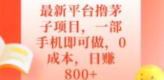 最新平台撸茅子项目，一部手机即可做，0成本，日赚800+ - 识享社-识享社