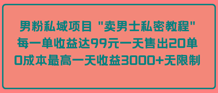 (9730期)男粉私域项目 “卖男士私密教程” 每一单收益达99元一天售出20单 - 识享社-识享社